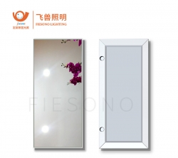 57119-隐框浴室鏡門-銀色